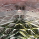 India-stepwells